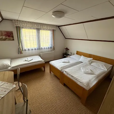 Farma Basarovi Guest house