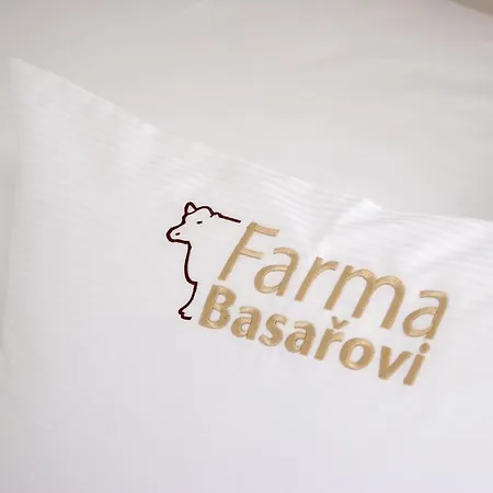 Guest house Farma Basarovi 3*