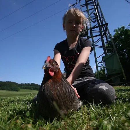 Farma Basarovi Penzion