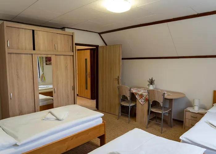 Pensjonat Farma Basarovi 3*