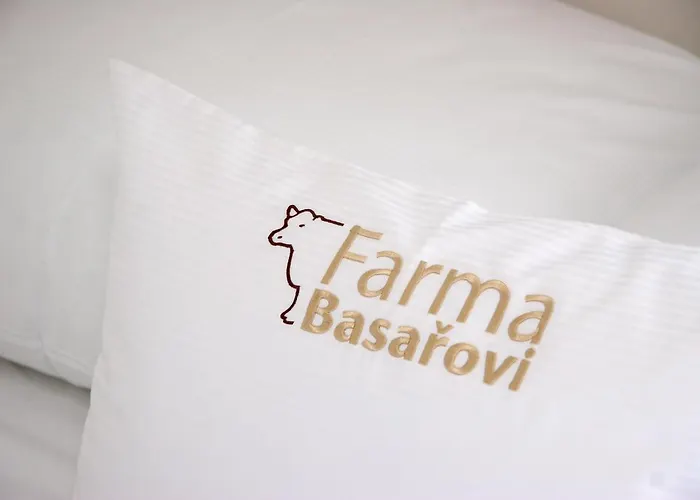 Gæstehus Farma Basarovi 3*